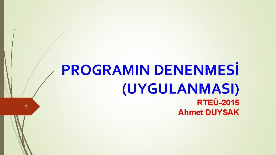 PROGRAMIN DENENMESİ (UYGULANMASI) 1 RTEÜ-2015 Ahmet DUYSAK PROGRAMIN DENENMESİ (UYGULANMASI) 1 RTEÜ-2015 Ahmet DUYSAK