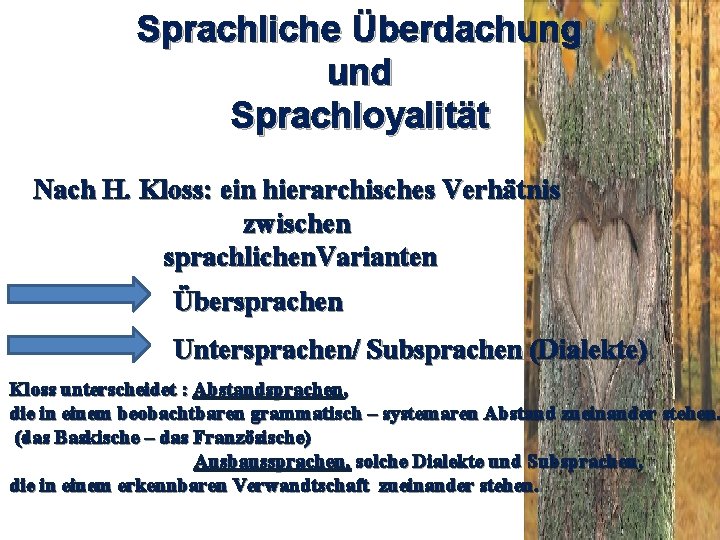 Sprachliche Überdachung und Sprachloyalität Nach H. Kloss: ein hierarchisches Verhätnis zwischen sprachlichen. Varianten Übersprachen