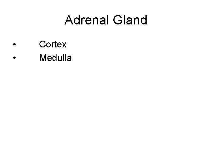 Adrenal Gland • • Cortex Medulla 