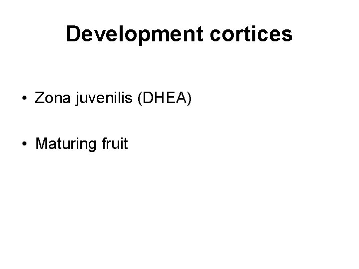 Development cortices • Zona juvenilis (DHEA) • Maturing fruit 