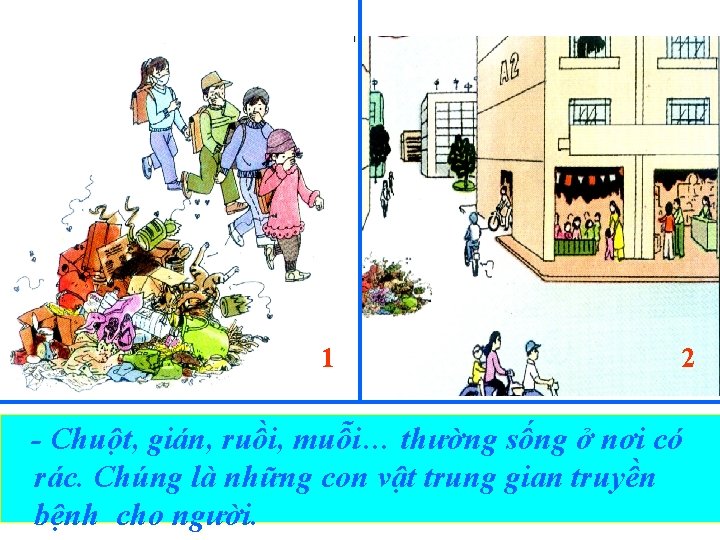 1 2 Chuột, sinh gián, ruồi, thường sống nơi có -Nh÷ng vËt nµomuỗi… th 1 2 Chuột, sinh gián, ruồi, thường sống nơi có -Nh÷ng vËt nµomuỗi… th