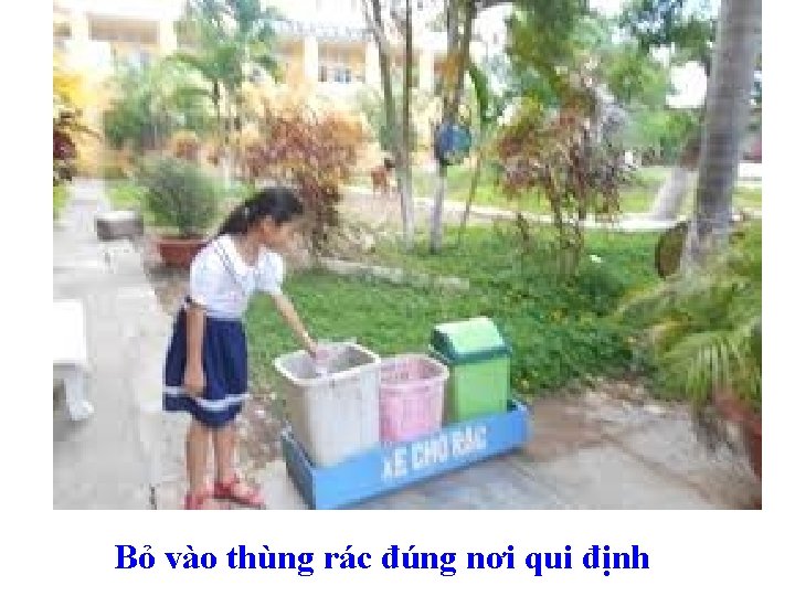 Bỏ vào thùng rác đúng nơi qui định 