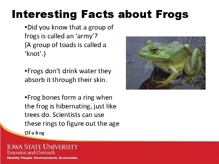 Interesting Facts about Frogs • Did you know that a group of frogs is