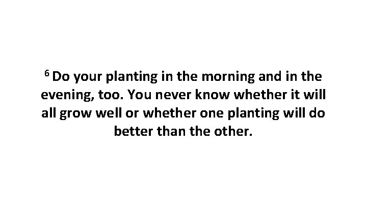 6 Do your planting in the morning and in the evening, too. You never