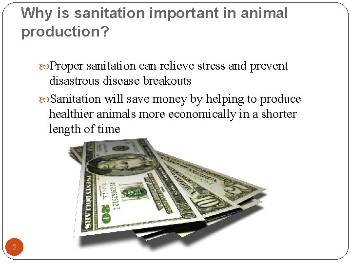 Why is sanitation important in animal production? Proper sanitation can relieve stress and prevent