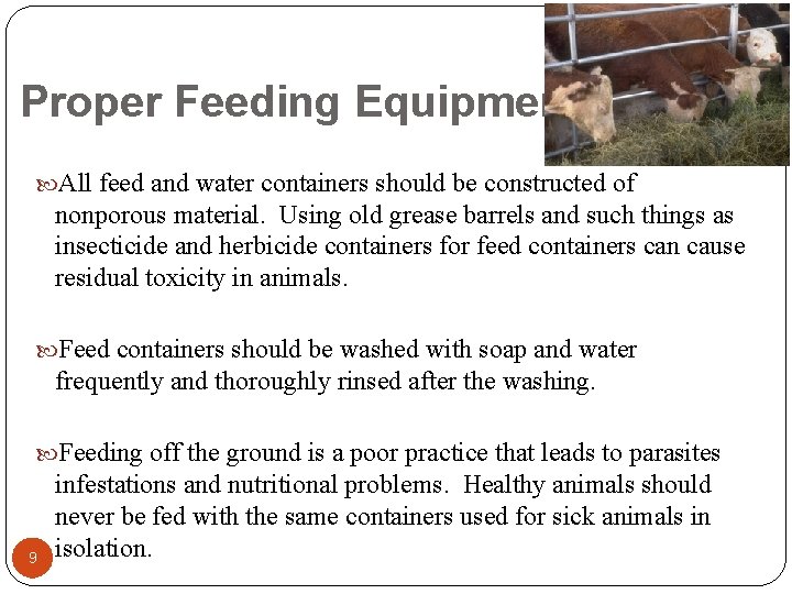 Proper Feeding Equipment All feed and water containers should be constructed of nonporous material.