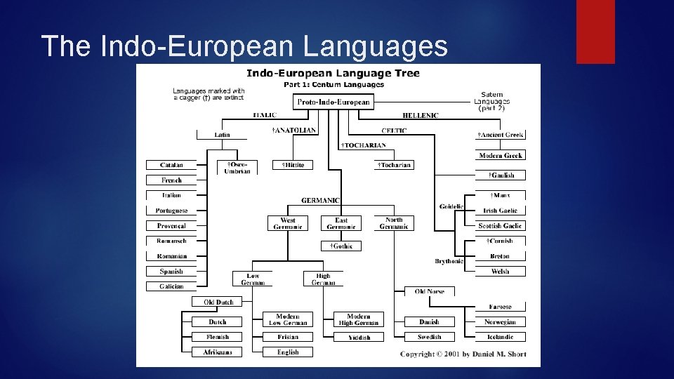 The Indo-European Languages 