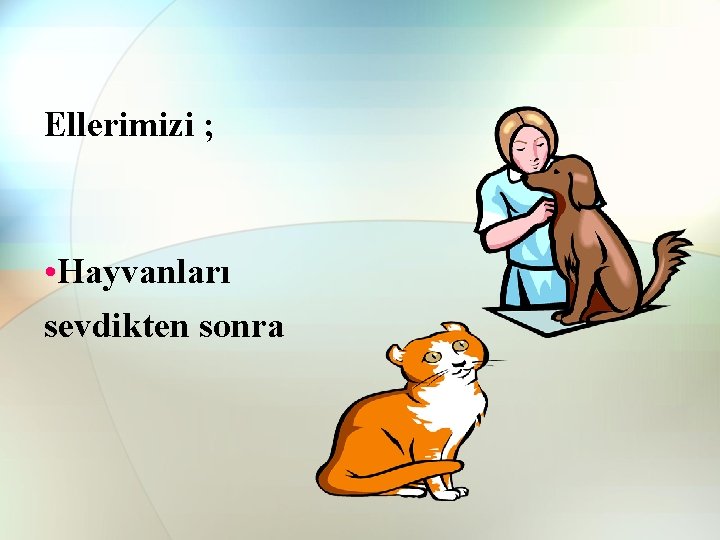 Ellerimizi ; • Hayvanları sevdikten sonra Ellerimizi ; • Hayvanları sevdikten sonra