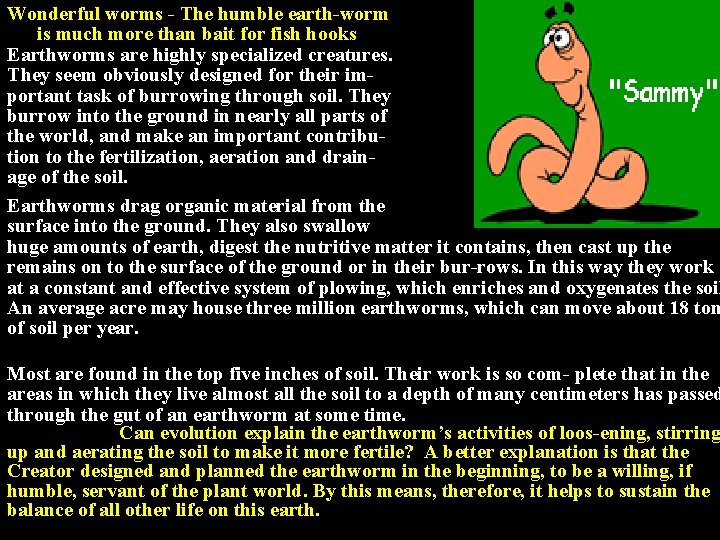 Wonderful worms - The humble earth-worm is much more than bait for fish hooks
