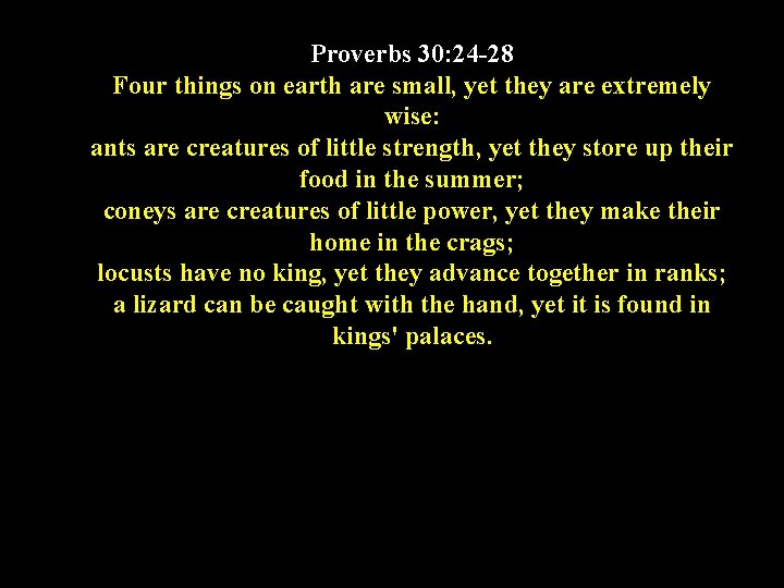 Proverbs 30: 24 -28 Four things on earth are small, yet they are extremely