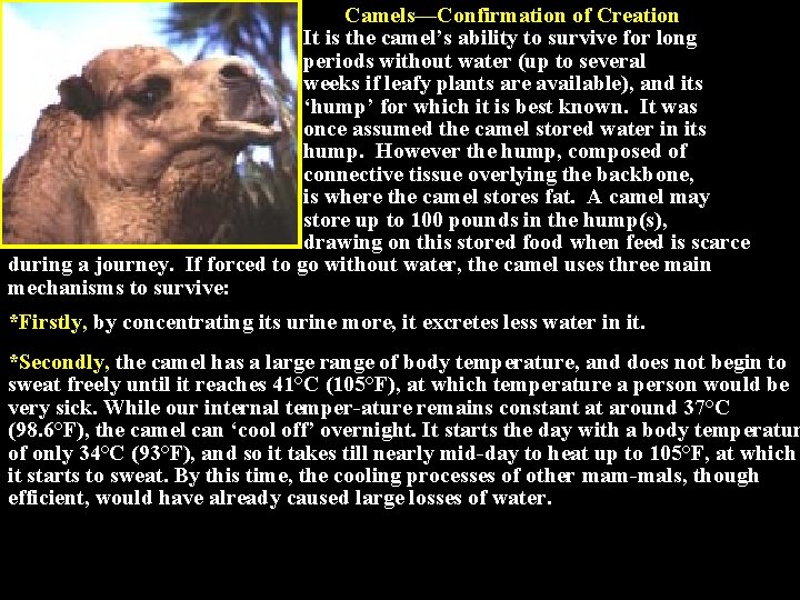 Camels—Confirmation of Creation It is the camel’s ability to survive for long periods without