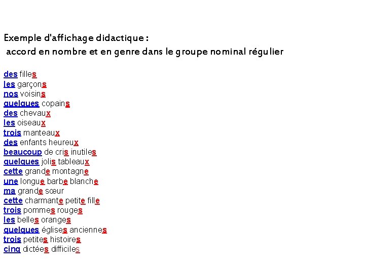 Exemple d'affichage didactique : accord en nombre et en genre dans le groupe nominal
