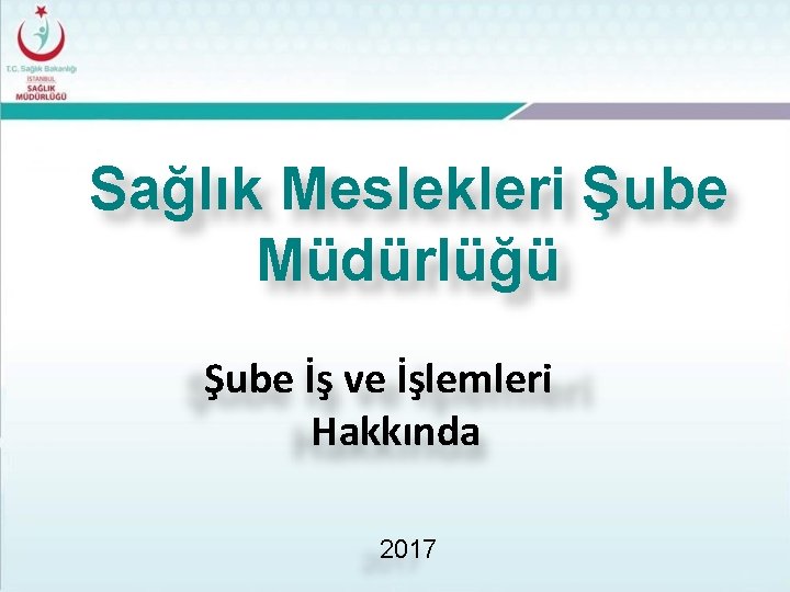 Sağlık Meslekleri Şube Müdürlüğü Şube İş ve İşlemleri Hakkında 2017 