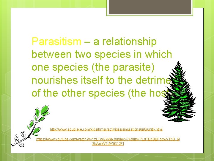 Parasitism – a relationship between two species in which one species (the parasite) nourishes Parasitism – a relationship between two species in which one species (the parasite) nourishes
