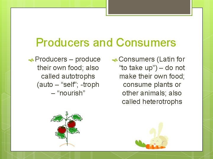 Adaptations and Survival Melanie Hardy 6 th Grade