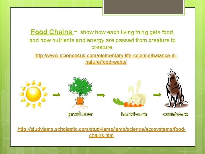 Food Chains - show each living thing gets food, and how nutrients and energy Food Chains - show each living thing gets food, and how nutrients and energy
