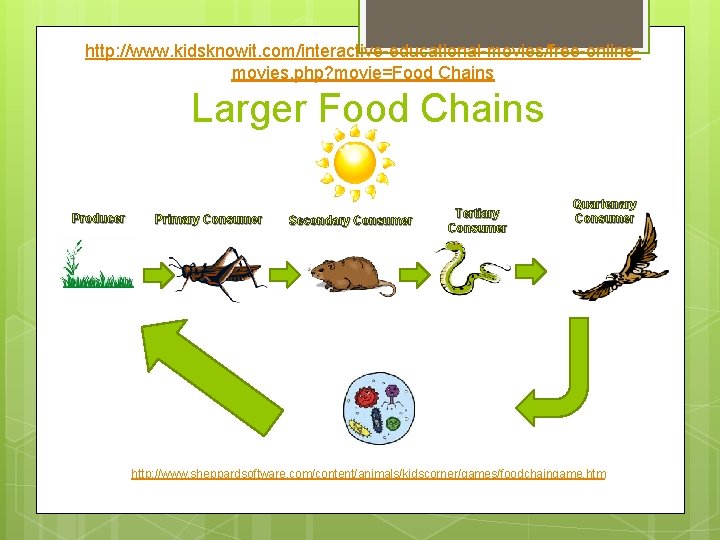 http: //www. kidsknowit. com/interactive-educational-movies/free-onlinemovies. php? movie=Food Chains Larger Food Chains Producer Primary Consumer Secondary http: //www. kidsknowit. com/interactive-educational-movies/free-onlinemovies. php? movie=Food Chains Larger Food Chains Producer Primary Consumer Secondary