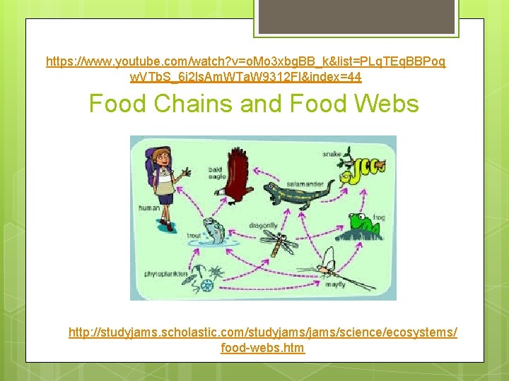 Adaptations and Survival Melanie Hardy 6 th Grade