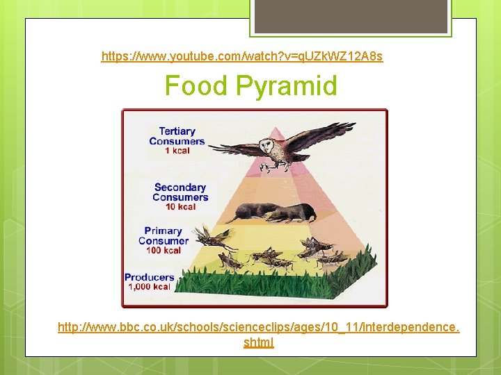 https: //www. youtube. com/watch? v=q. UZk. WZ 12 A 8 s Food Pyramid http: https: //www. youtube. com/watch? v=q. UZk. WZ 12 A 8 s Food Pyramid http: