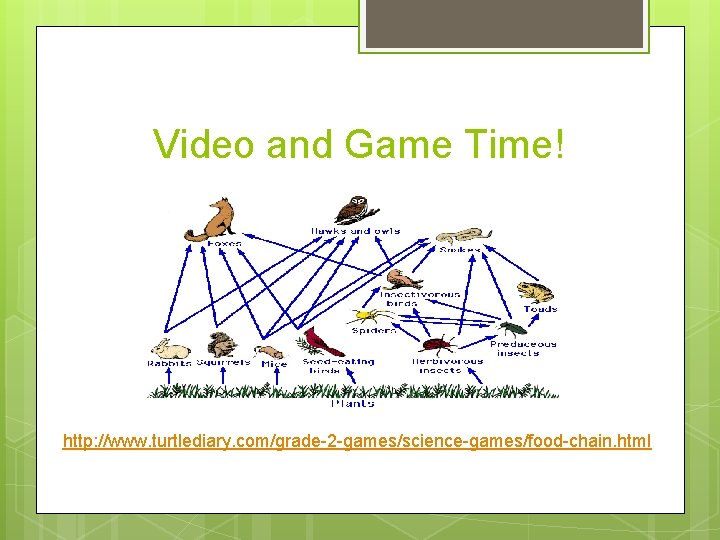 Video and Game Time! http: //www. turtlediary. com/grade-2 -games/science-games/food-chain. html Video and Game Time! http: //www. turtlediary. com/grade-2 -games/science-games/food-chain. html