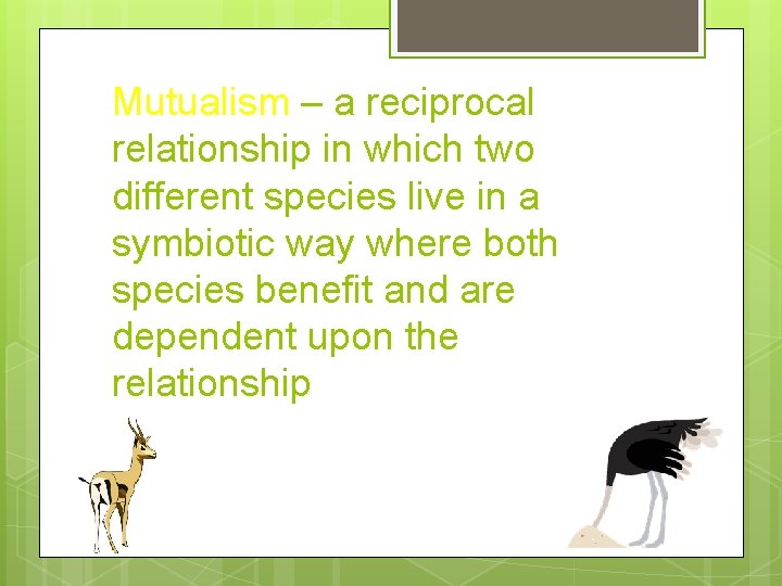 Mutualism – a reciprocal relationship in which two different species live in a symbiotic Mutualism – a reciprocal relationship in which two different species live in a symbiotic