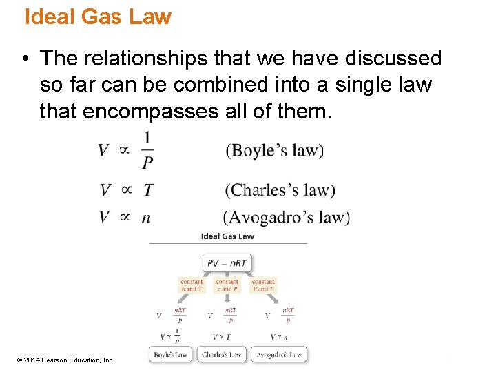 Ideal Gas Law • The relationships that we have discussed so far can be