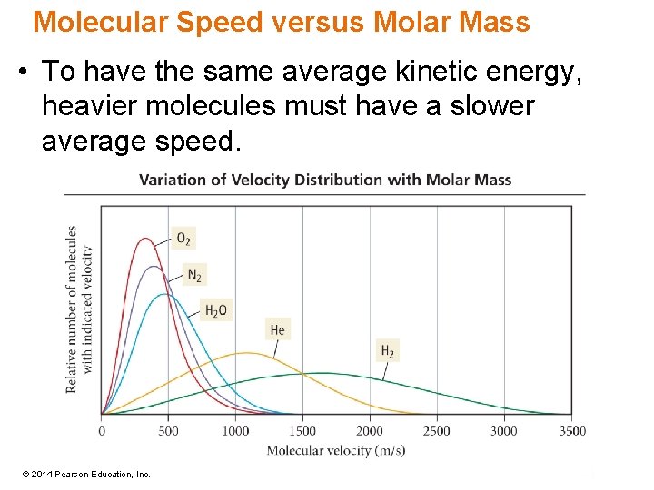 Molecular Speed versus Molar Mass • To have the same average kinetic energy, heavier