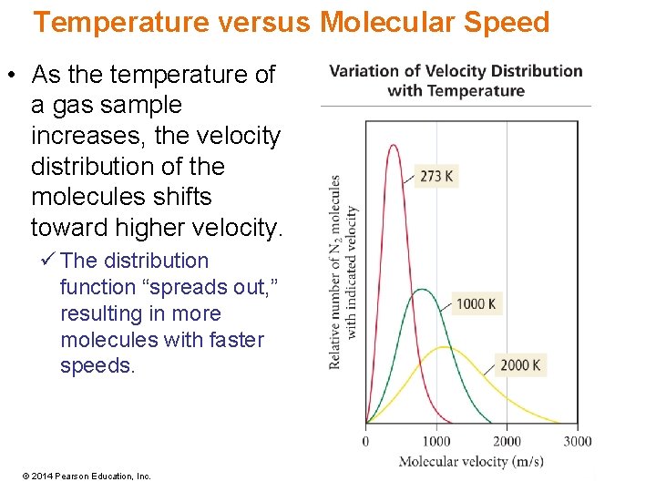 Temperature versus Molecular Speed • As the temperature of a gas sample increases, the
