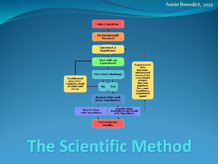 Annie Benedict, 2015 The Scientific Method 