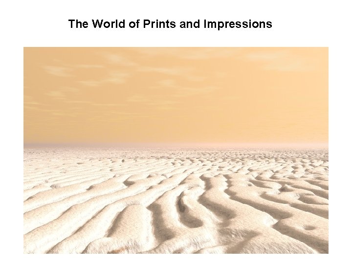 The World of Prints and Impressions 