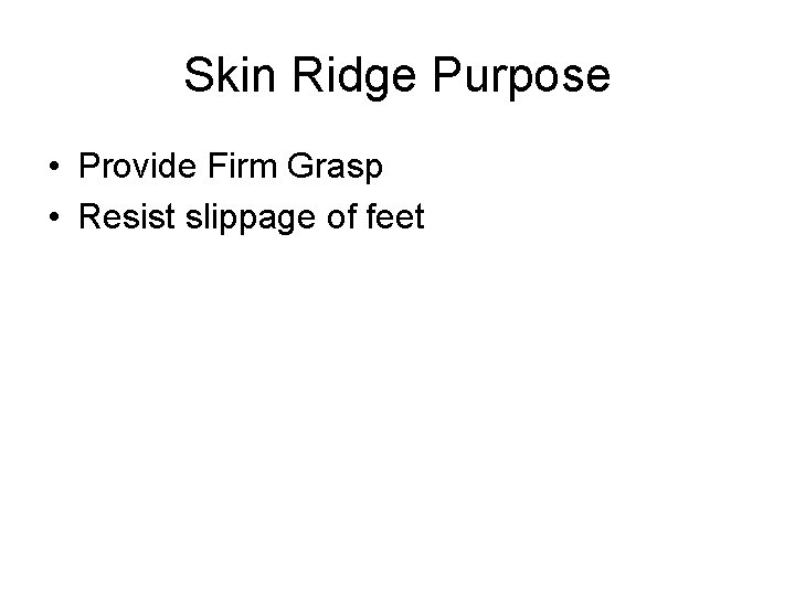 Skin Ridge Purpose • Provide Firm Grasp • Resist slippage of feet 