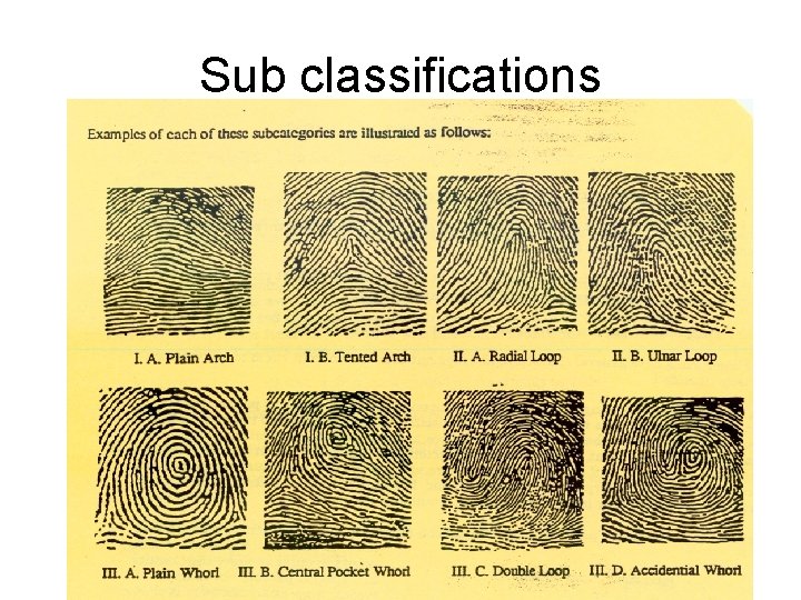 Sub classifications 