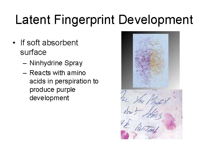 Latent Fingerprint Development • If soft absorbent surface – Ninhydrine Spray – Reacts with