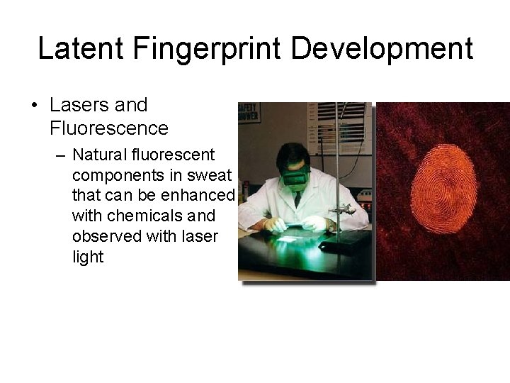 Latent Fingerprint Development • Lasers and Fluorescence – Natural fluorescent components in sweat that