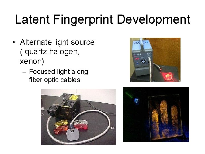 Latent Fingerprint Development • Alternate light source ( quartz halogen, xenon) – Focused light