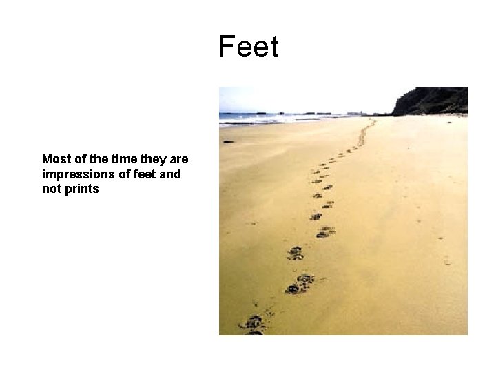 Feet Most of the time they are impressions of feet and not prints 