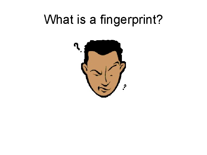 What is a fingerprint? 