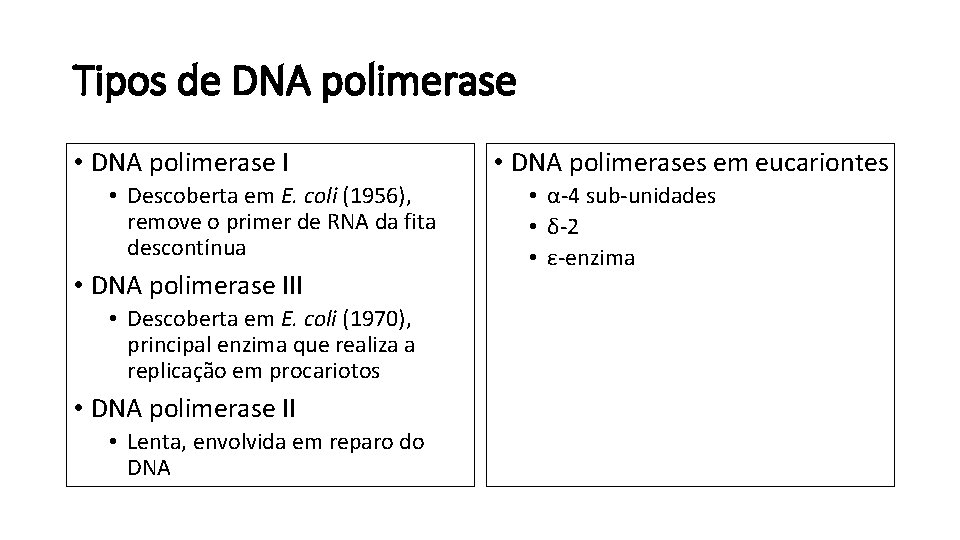 Tipos de DNA polimerase • DNA polimerase I • Descoberta em E. coli (1956),