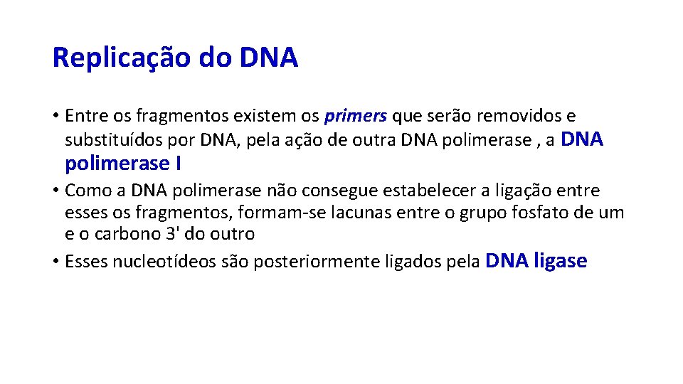 Replicação do DNA • Entre os fragmentos existem os primers que serão removidos e