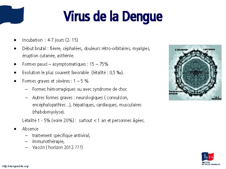 Virus de la Dengue • Incubation : 4 -7 jours (2 - 15) •