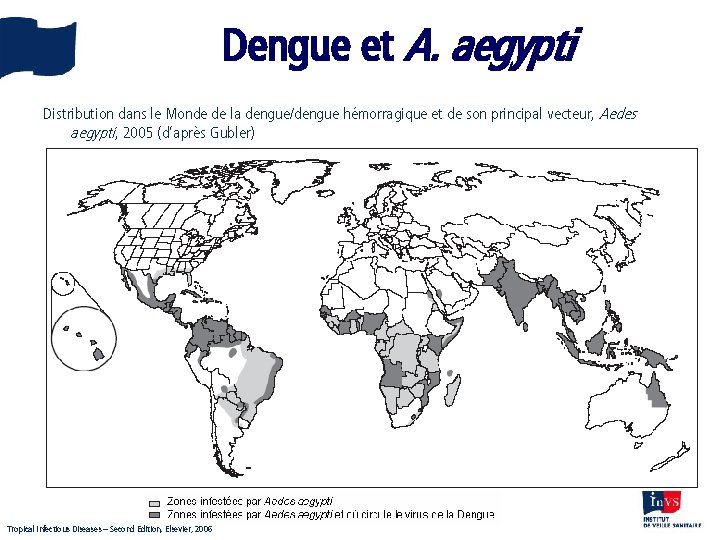 Dengue et A. aegypti Distribution dans le Monde de la dengue/dengue hémorragique et de