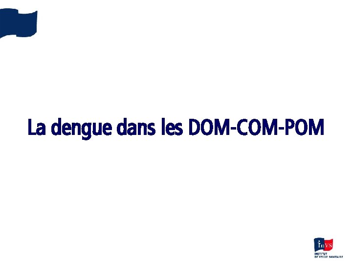 La dengue dans les DOM-COM-POM 