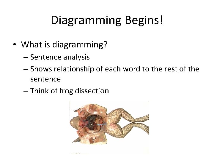 Diagramming Begins! • What is diagramming? – Sentence analysis – Shows relationship of each