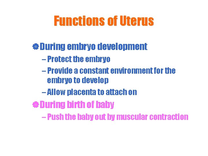 Functions of Uterus |During embryo development – Protect the embryo – Provide a constant