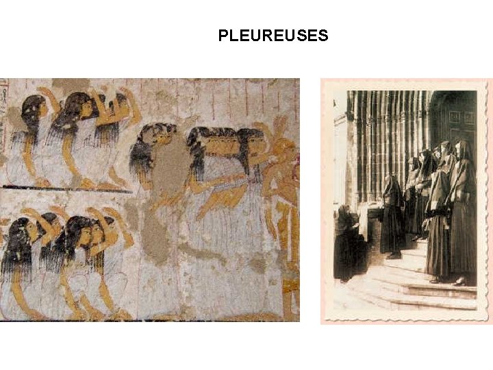 PLEUREUSES 