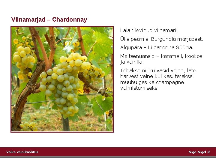 Viinamarjad – Chardonnay Laialt levinud viinamari. Üks peamisi Burgundia marjadest. Algupära – Liibanon ja