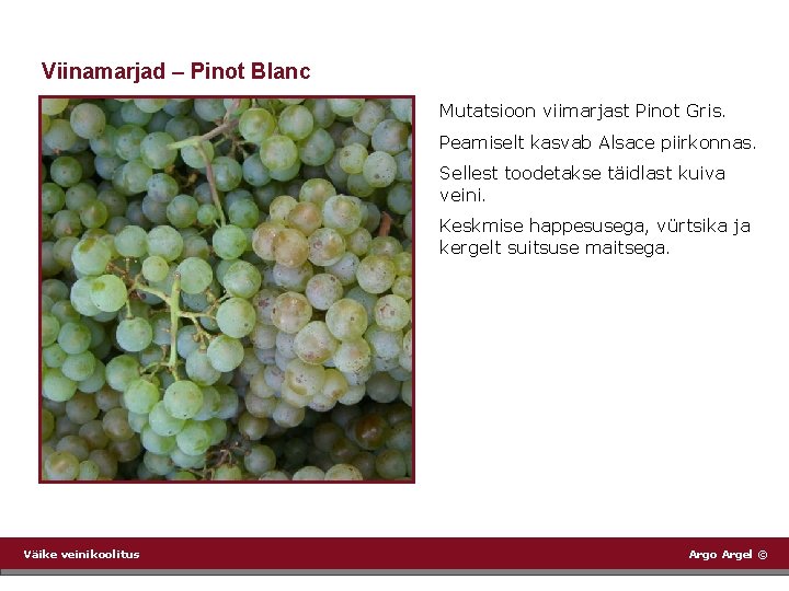 Viinamarjad – Pinot Blanc Mutatsioon viimarjast Pinot Gris. Peamiselt kasvab Alsace piirkonnas. Sellest toodetakse