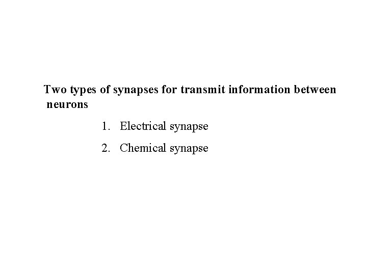 Two types of synapses for transmit information between neurons 1. Electrical synapse 2. Chemical