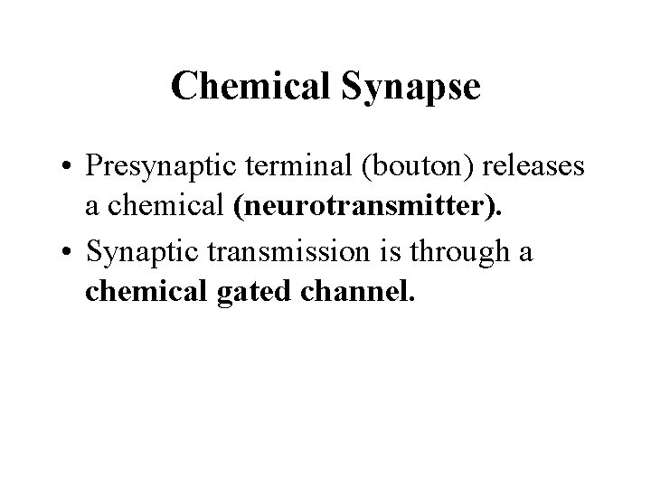 Chemical Synapse • Presynaptic terminal (bouton) releases a chemical (neurotransmitter). • Synaptic transmission is