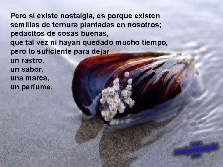 Pero si existe nostalgia, es porque existen semillas de ternura plantadas en nosotros; pedacitos